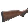 Henry Single Shot Blued/Walnut Break Action Rifle - 45-70 Government - 22in - Brown