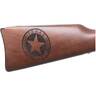 Henry Texas Rangers Bicentennial Tribute Edition Nickel Plated Alloy Lever Action Rifle - 22 Long Rifle - 20in - Brown