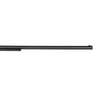 Heritage Rough Rider Small Bore 22 Long Rifle 16in Blue Revolver - 6 Rounds