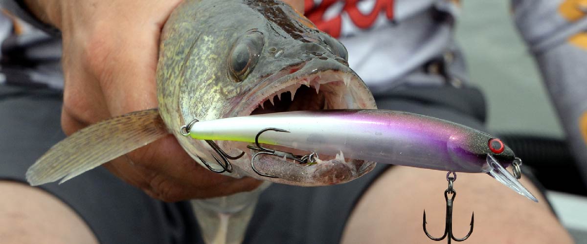 What You Need to Know About Trolling Speed and Bait Position - Florida Sportsman