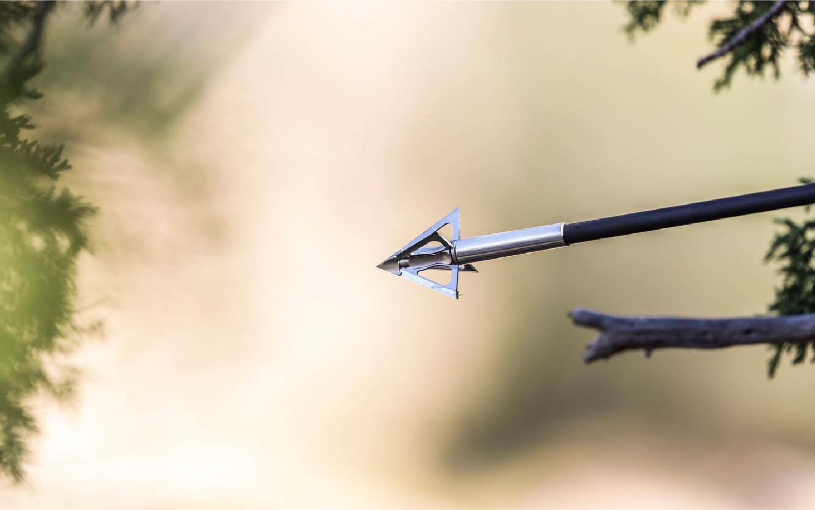 hunting-img