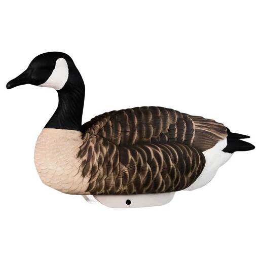 Heyday Hydrofoam Canada Goose Decoys – 4 Pack