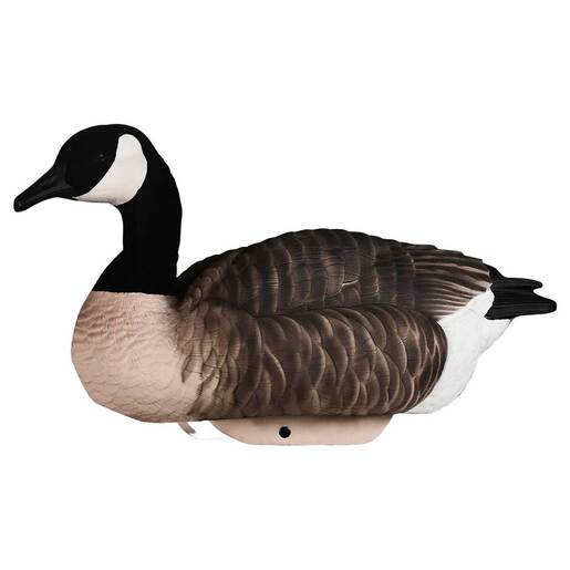 Heyday Hydrofoam Flocked Canada Goose Decoys – 4 Pack