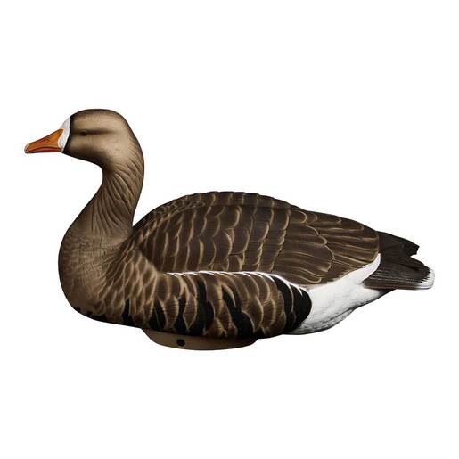 Heyday Hydrofoam Specklebelly Goose Decoys – 4 Pack