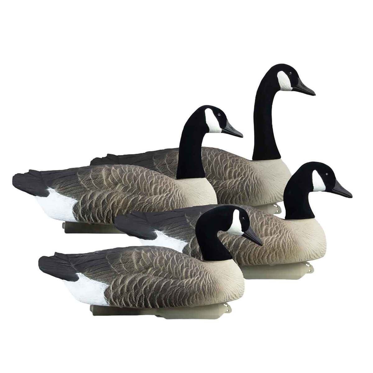 Higdon Alpha Magnum Goose Floater Canada Goose Decoy - 4 Pack ...