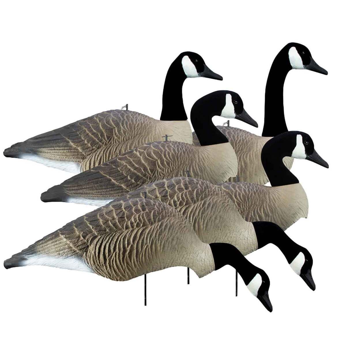 Higdon Alpha Wobbler Magnum Full-Form Canada Goose Decoy - 6 Pack ...