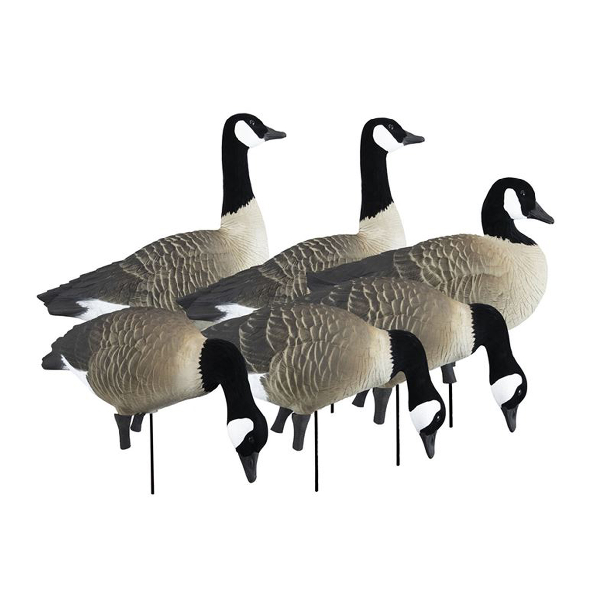 Higdon Apex Canadian Goose Decoy - 6 Pack Higdon Apex Canadian Goose Decoy - 6 Pack