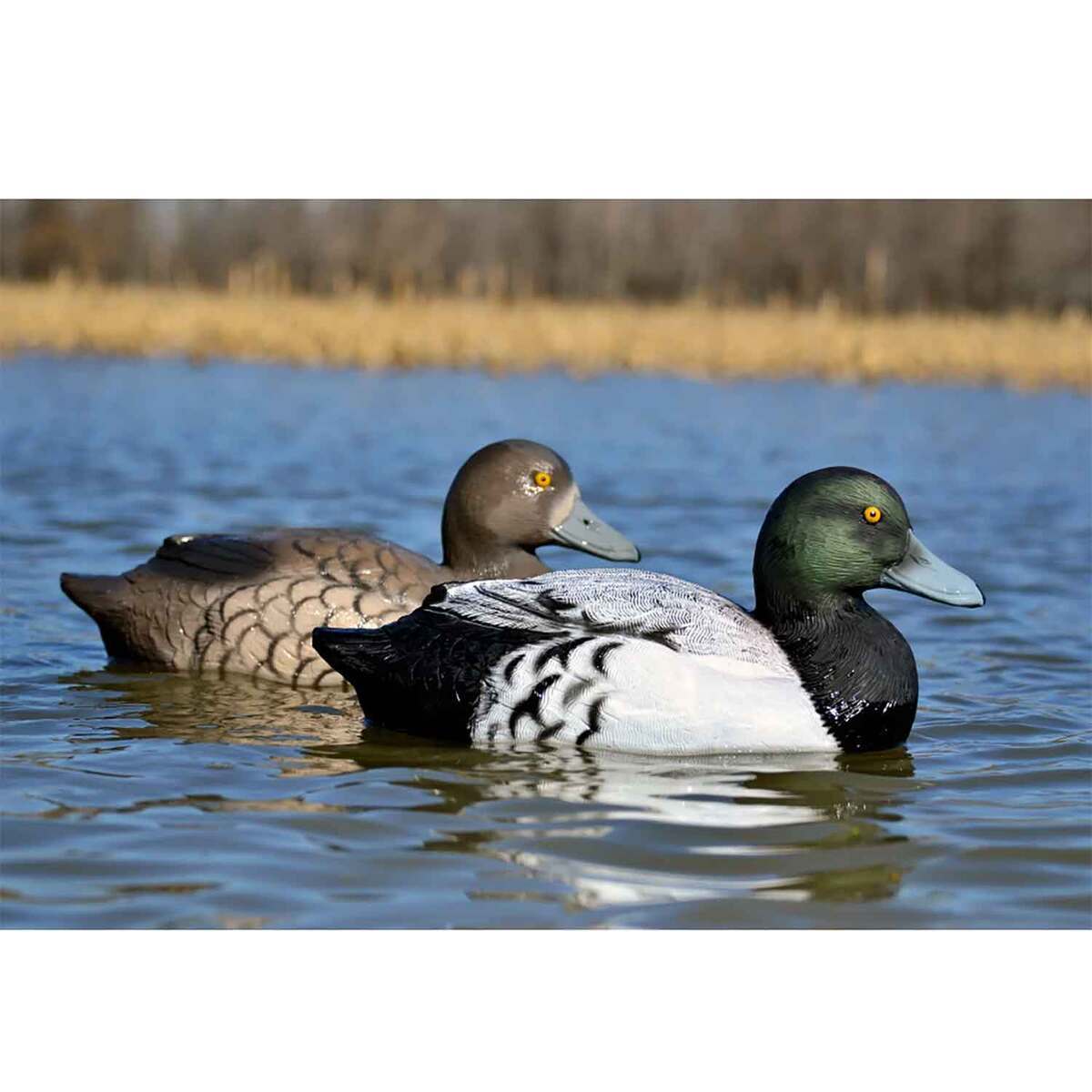 Higdon Battleship Foam Bluebill Duck Decoy - 6 Pack Higdon Battleship Foam Bluebill Duck Decoy - 6 Pack