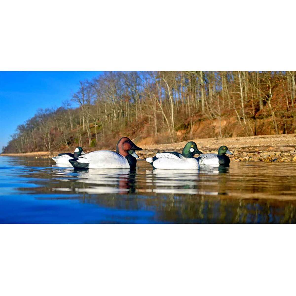 Higdon Battleship Foam Diver Duck Decoy - 6 Pack Higdon Battleship Foam Diver Duck Decoy - 6 Pack