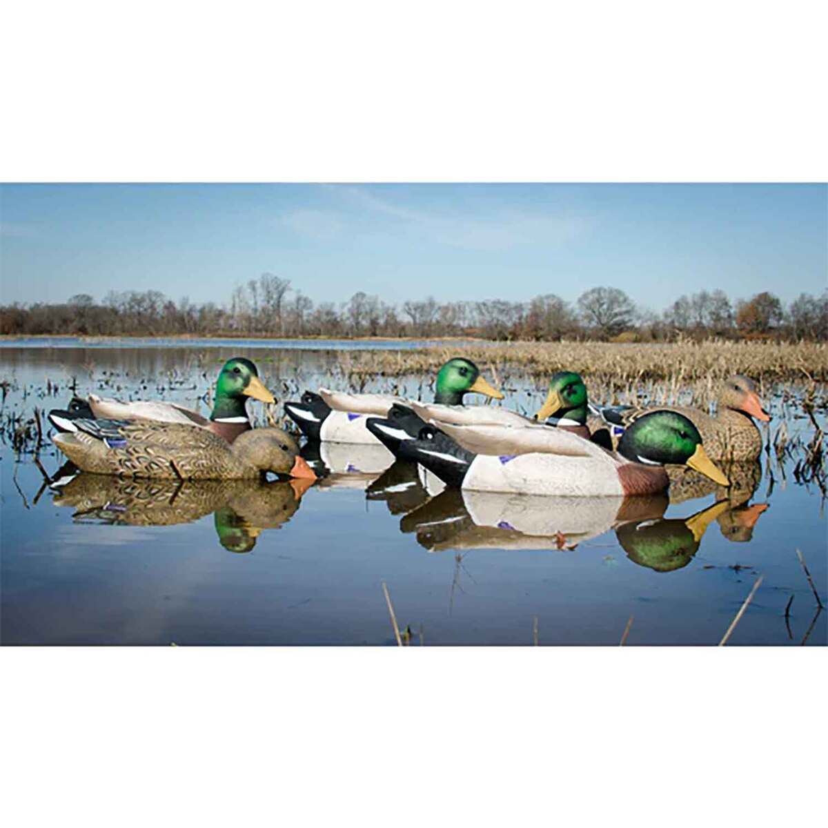 Higdon Battleship Foam Mallard Duck Decoy - 6 Pack Higdon Battleship Foam Mallard Duck Decoy - 6 Pack