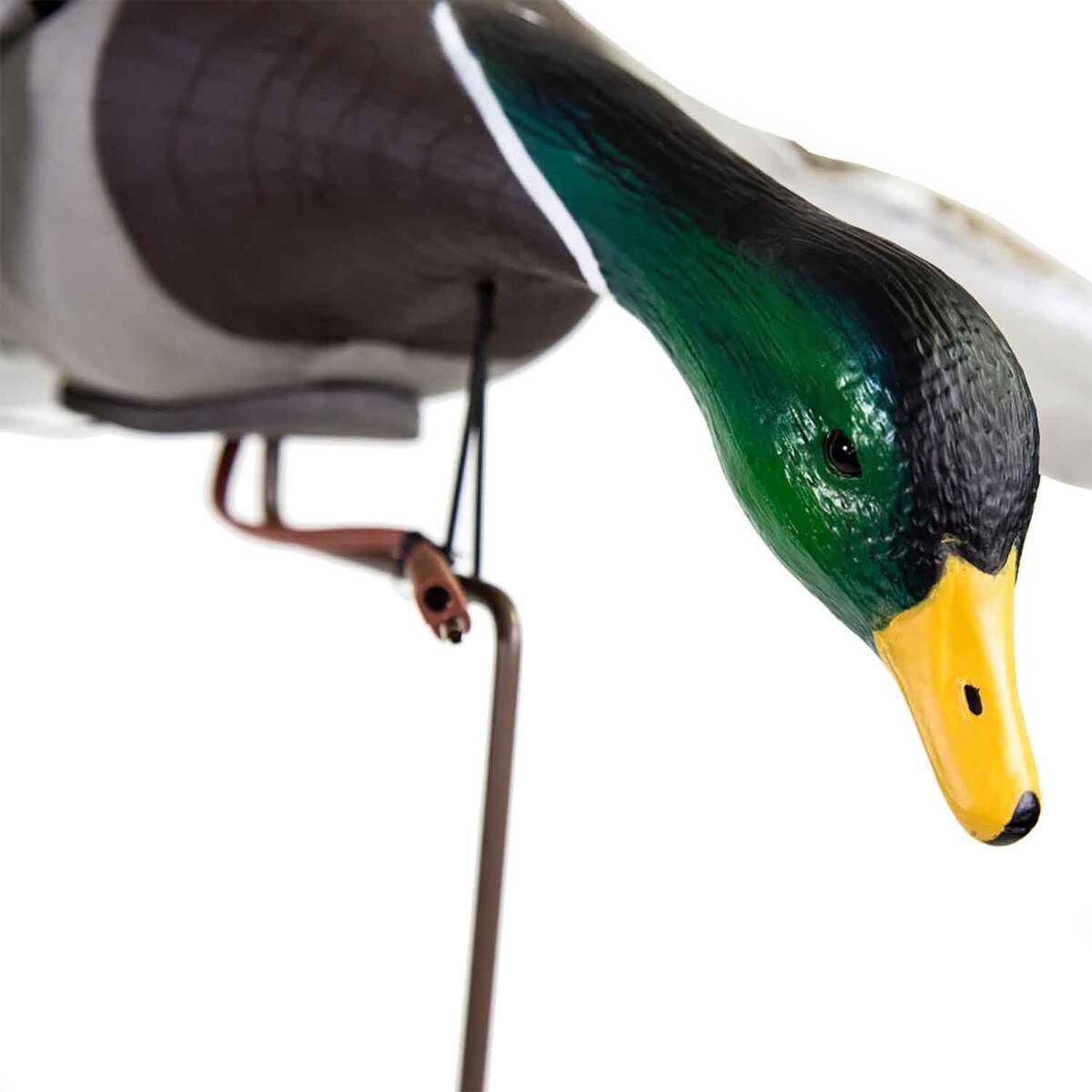 Higdon Clone Motion Mallard Drake Duck Decoy | Sportsman's Warehouse