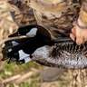 Higdon Decoys FLATS Canada Goose Motion Silhouette Decoys - 12 Pack