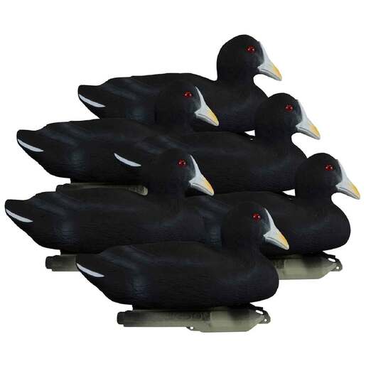 Higdon Decoys Standard Coot Duck Decoys – 6 Pack