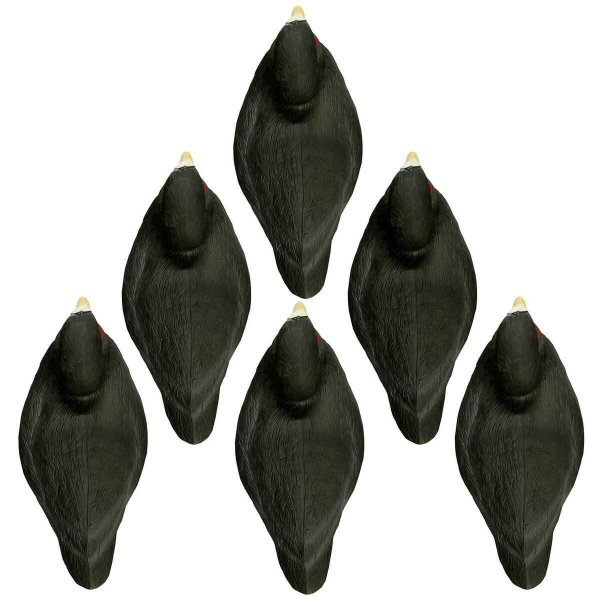 Higdon Decoys Standard Coot Duck Decoys - 6 Pack Higdon Decoys Standard Coot Duck Decoys - 6 Pack