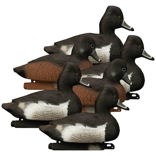 Higdon Diver Ring-Necked Duck Decoys – 6 Pack