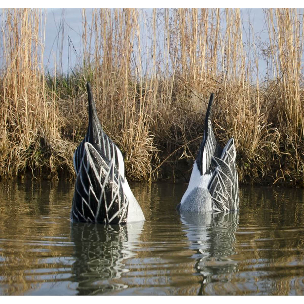 Higdon Foam Filled Magnum Drake Duck Butt Pintail Decoys - 2 Pack Higdon Foam Filled Magnum Drake Duck Butt Pintail Decoys - 2 Pack