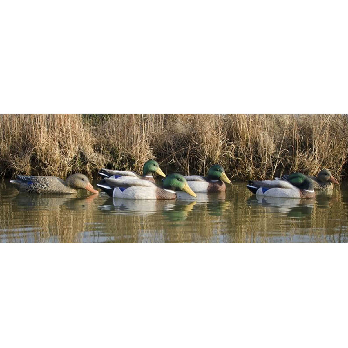Higdon Full Size Filled Mallards Duck Decoys - 6 Pack Higdon Full Size Filled Mallards Duck Decoys - 6 Pack