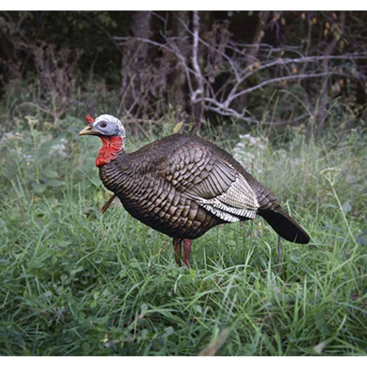 Higdon Hard Body 1/4 Strut Jake Turkey Decoy Higdon Hard Body 1/4 Strut Jake Turkey Decoy