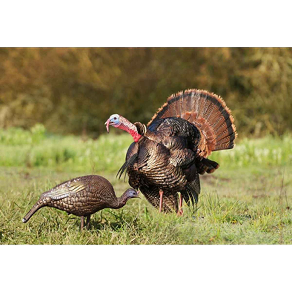 Higdon Hard Body Feeder Hen Turkey Decoy Higdon Hard Body Feeder Hen Turkey Decoy