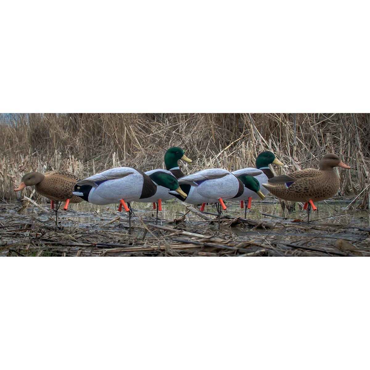 Higdon Magnum Full Body Mallards Duck Decoys - 6 Pack Higdon Magnum Full Body Mallards Duck Decoys - 6 Pack