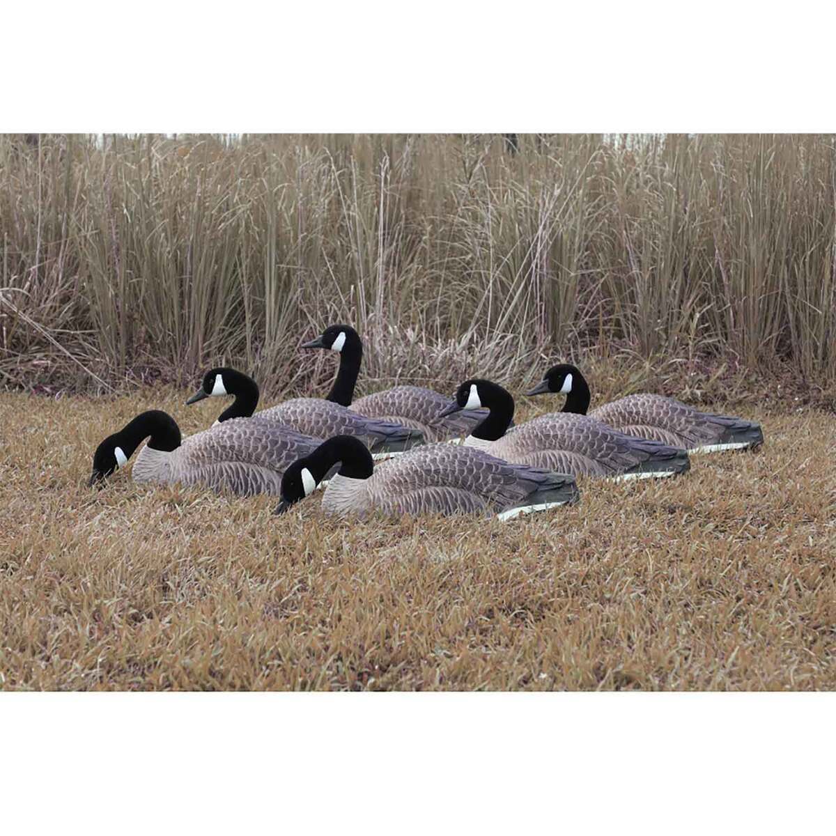 Higdon Magnum Half-Shell Canada Goose Decoy - 6 Pack Higdon Magnum Half-Shell Canada Goose Decoy - 6 Pack