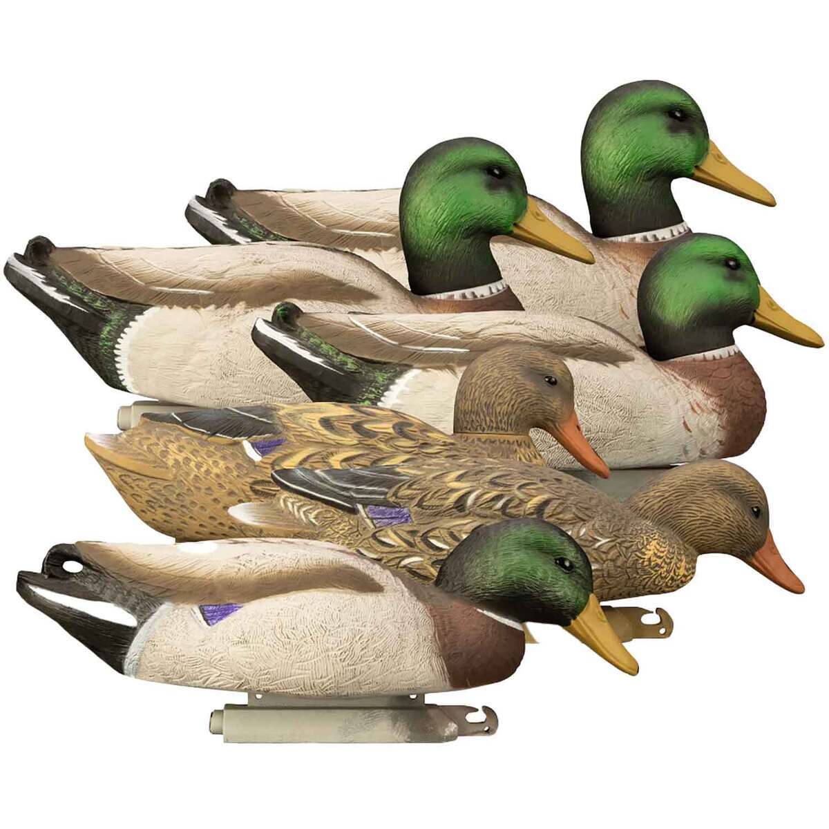 Higdon Magnum Mallard Painted Heads Foam Mallard Duck Decoy - 6 Pack Higdon Magnum Mallard Painted Heads Foam Mallard Duck Decoy - 6 Pack