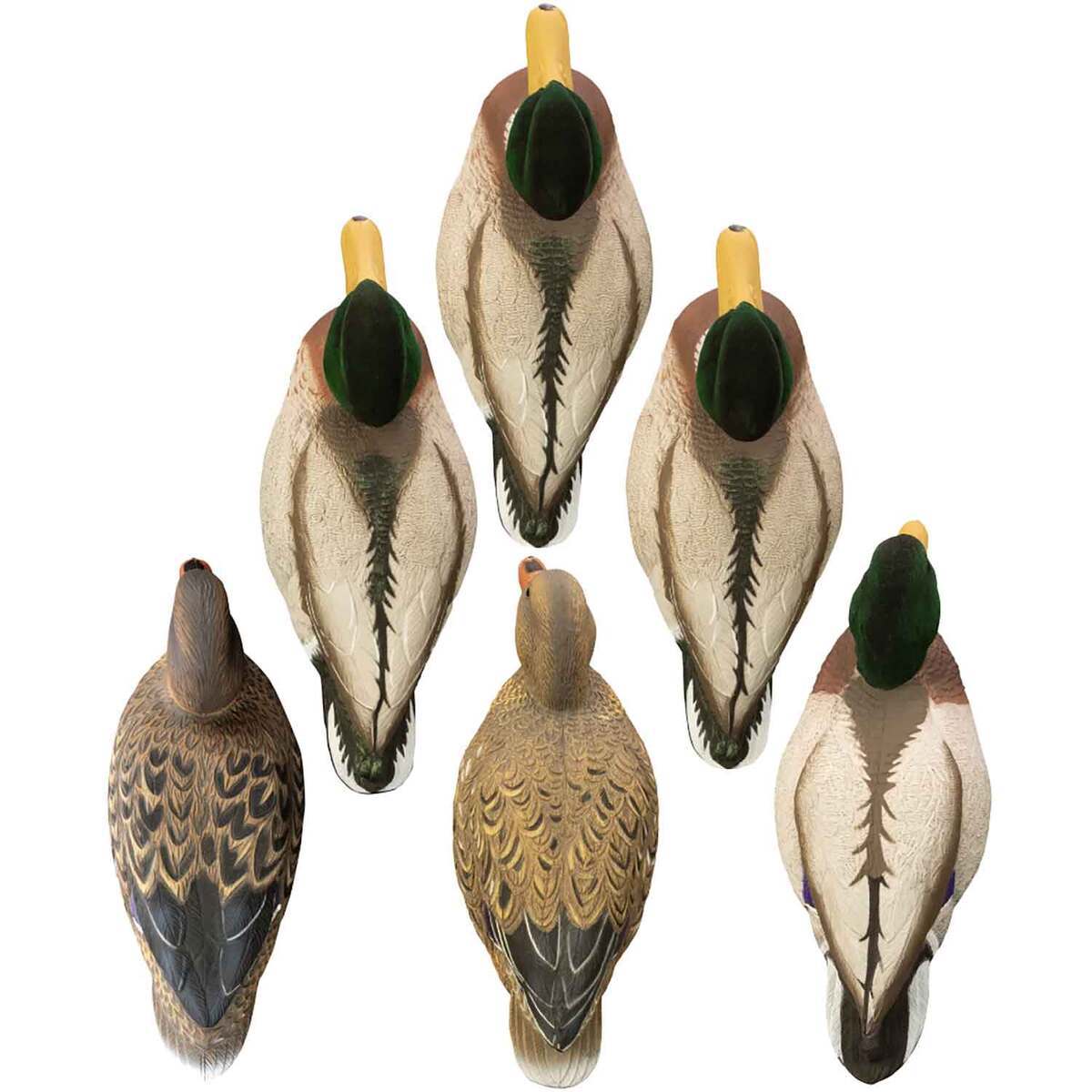 Higdon Magnum Mallard Painted Heads Foam Mallard Duck Decoy - 6 Pack Higdon Magnum Mallard Painted Heads Foam Mallard Duck Decoy - 6 Pack