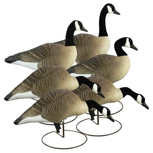Higdon Outdoors Alpha Magnum Canada Full Body Goose Decoys – 6 Pack