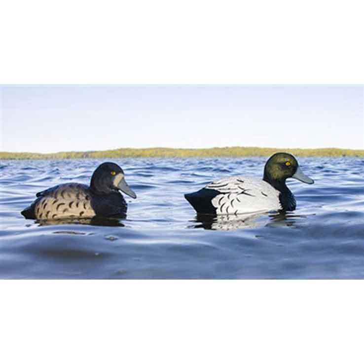 Higdon Standard Bluebill Foam Filled Duck Decoys - 6 Pack Higdon Standard Bluebill Foam Filled Duck Decoys - 6 Pack