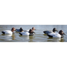 Higdon Standard Foam Filled Canvasbacks Duck Decoys - 6 Pack