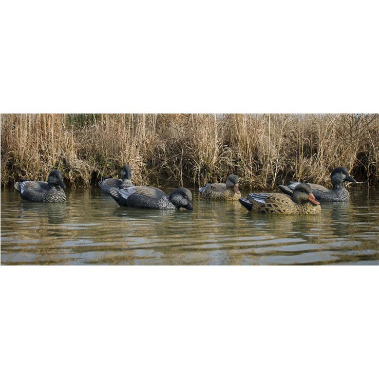 Higdon Standard Foam Filled Gadwalls Duck Decoys - 6 Pack Higdon Standard Foam Filled Gadwalls Duck Decoys - 6 Pack