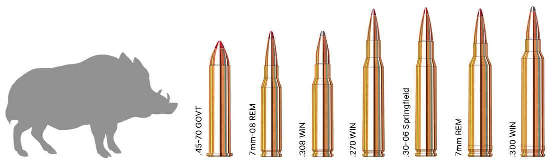 Hog Hunting Calibers