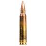 Hornady Frontier 5.56mm NATO 55gr Hollow Point Rifle Ammo - 20 Rounds
