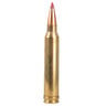 Hornady Precision Hunter 300 Winchester Magnum 178gr ELD-X Rifle Ammo - 20 Rounds