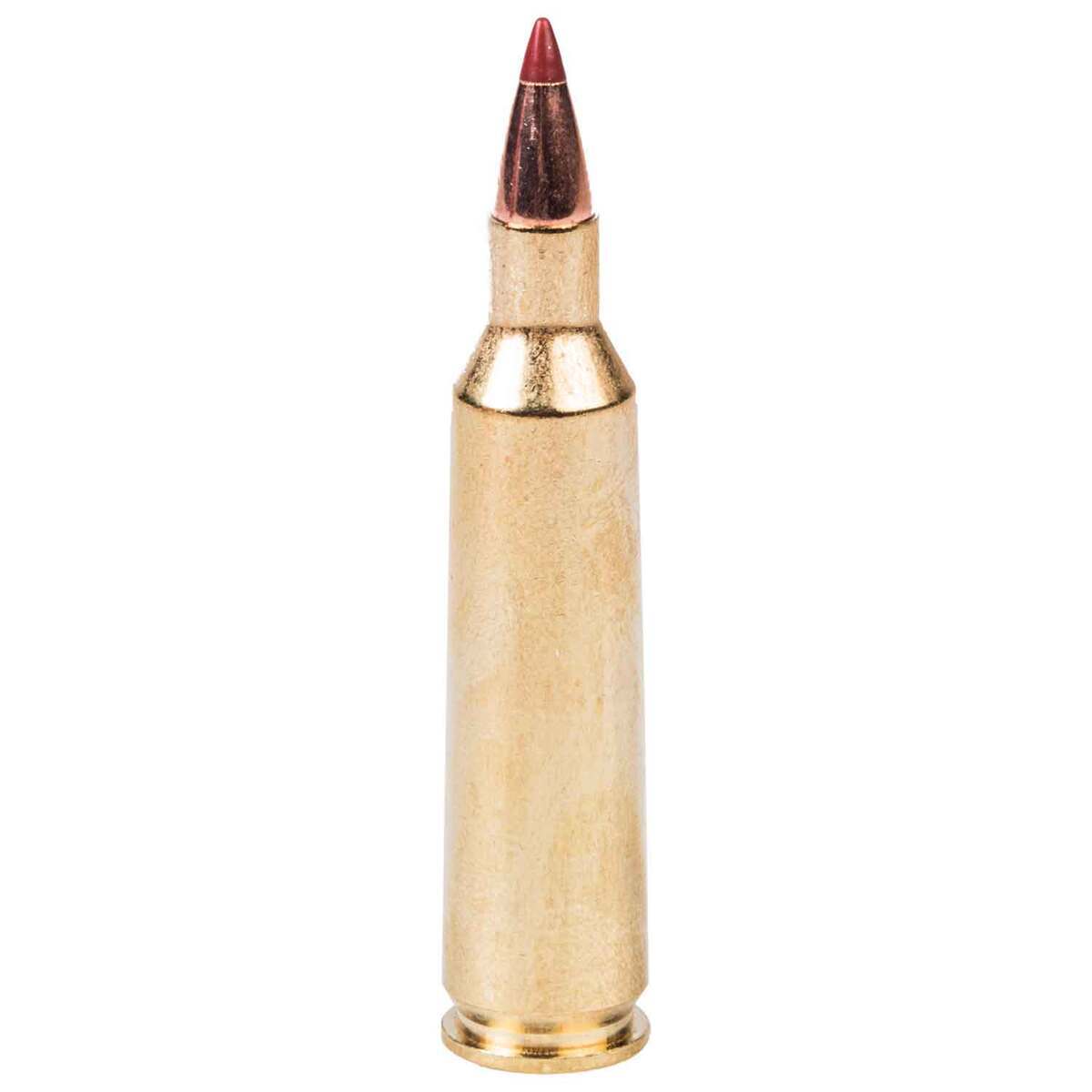 Hornady Superformance Varmint 22-250 Remington 35gr NTX Rifle Ammo - 20 Rounds Hornady Superformance Varmint 22-250 Remington 35gr NTX Rifle Ammo - 20 Rounds