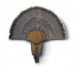H.S. Strut Turkey Tail & Beard Mounting Kit