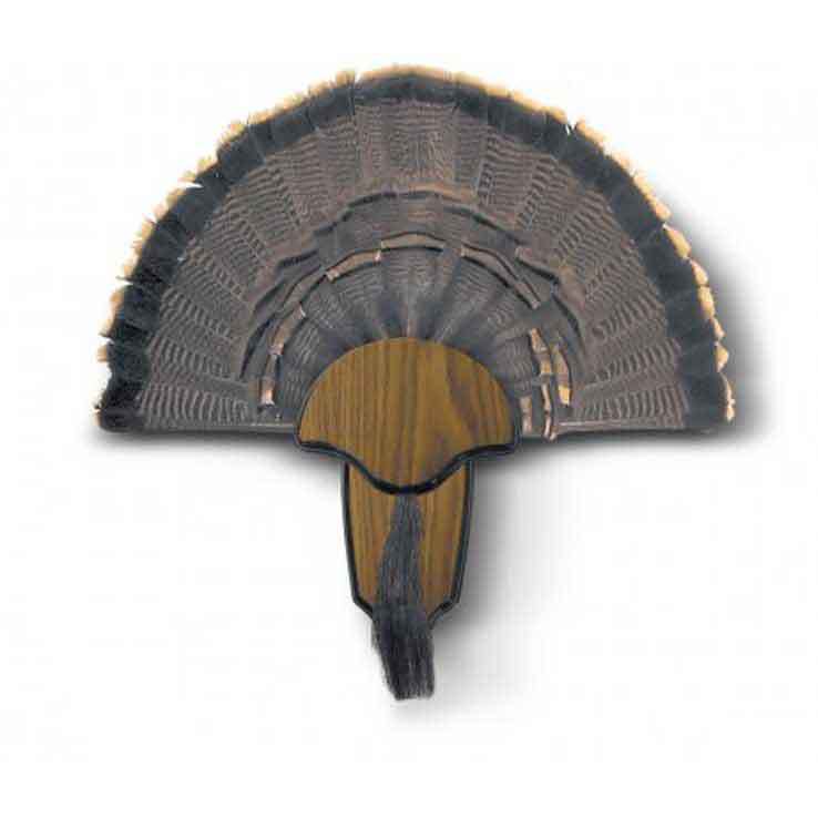 H.S. Strut Turkey Tail & Beard Mounting Kit H.S. Strut Turkey Tail & Beard Mounting Kit