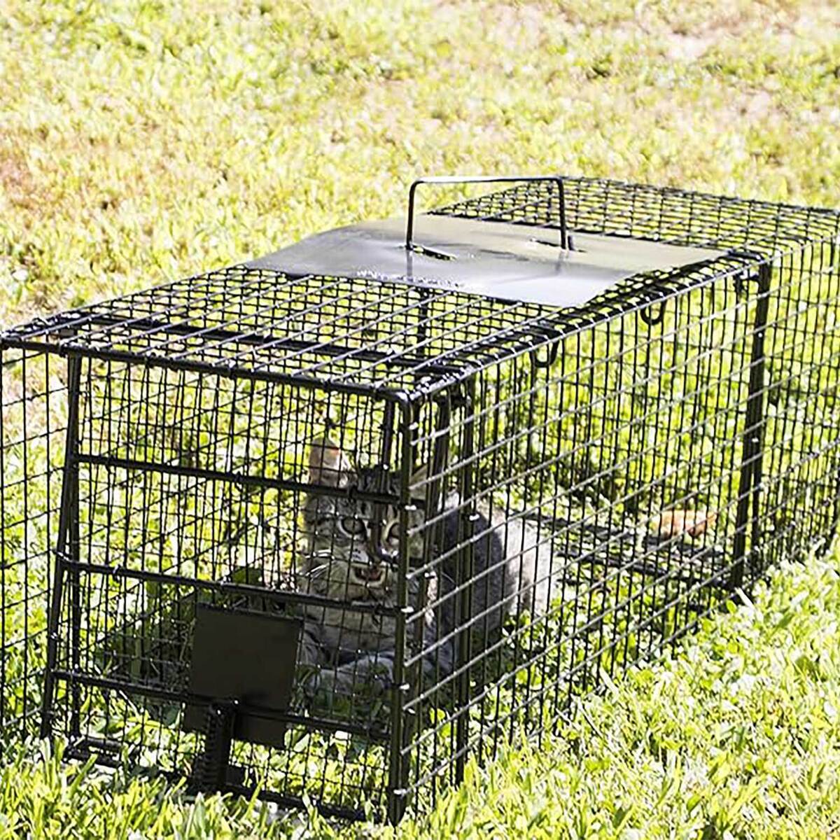 Humane Way Humane Way Dog Traps _ 42