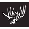 Hunters Image Deer Skull - Small - 4.5in x 4in