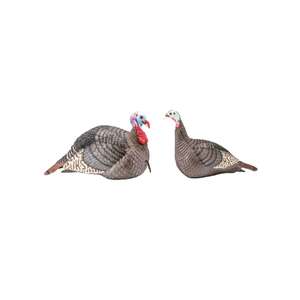Hunters Specialties Strut Lite Jake & Hen Combo Turkey Decoys