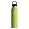 Hydro Flask 24oz Standard Mouth Insulated Bottle with Flex Cap