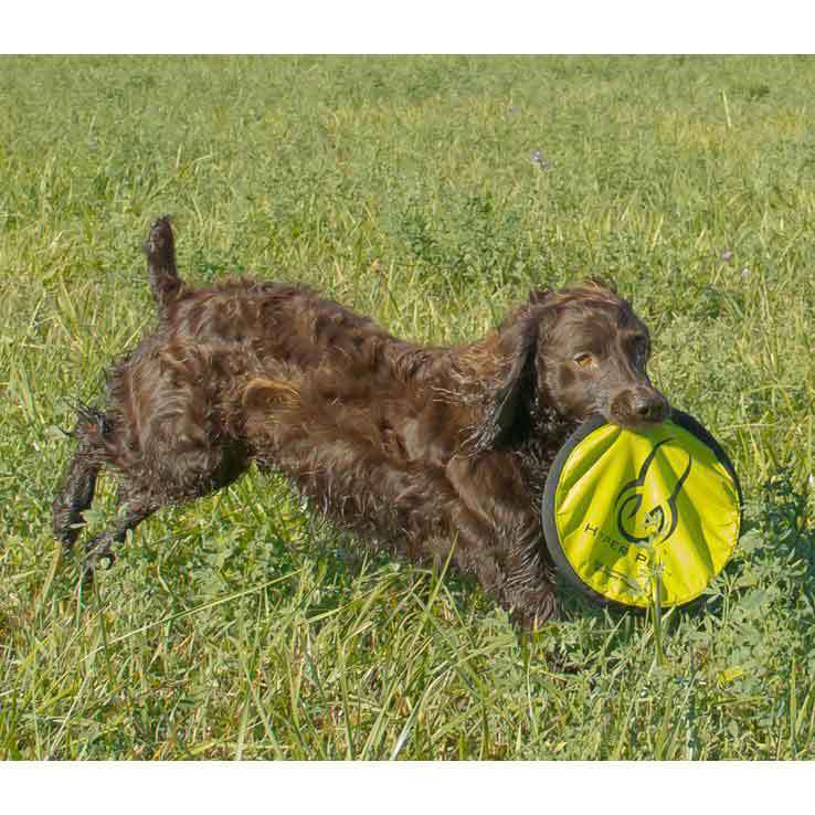 Hyper Pet Flippy Flopper Dog Toy Hyper Pet Flippy Flopper Dog Toy