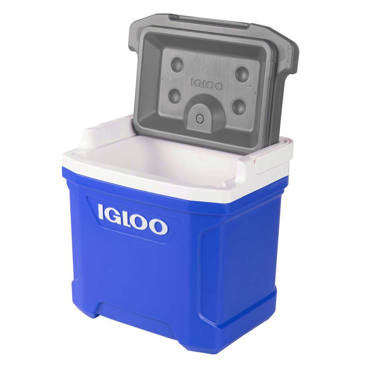 Igloo Latitude 16 Quart Blue/White - Blue Igloo Latitude 16 Quart Blue/White - Blue