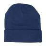 Igloos Boys' Insulated Knit Beanie - Blue - Blue One Size Fits Most