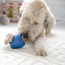 JW Twist-In Treats Dog Toy & Treat Pack - Blue