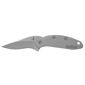 Kershaw Chive 1.9 Inch Spring Assisted Knife - Stainless Steel