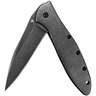 Kershaw Leek Blackwash 3 inch Folding Knife - Black - Black