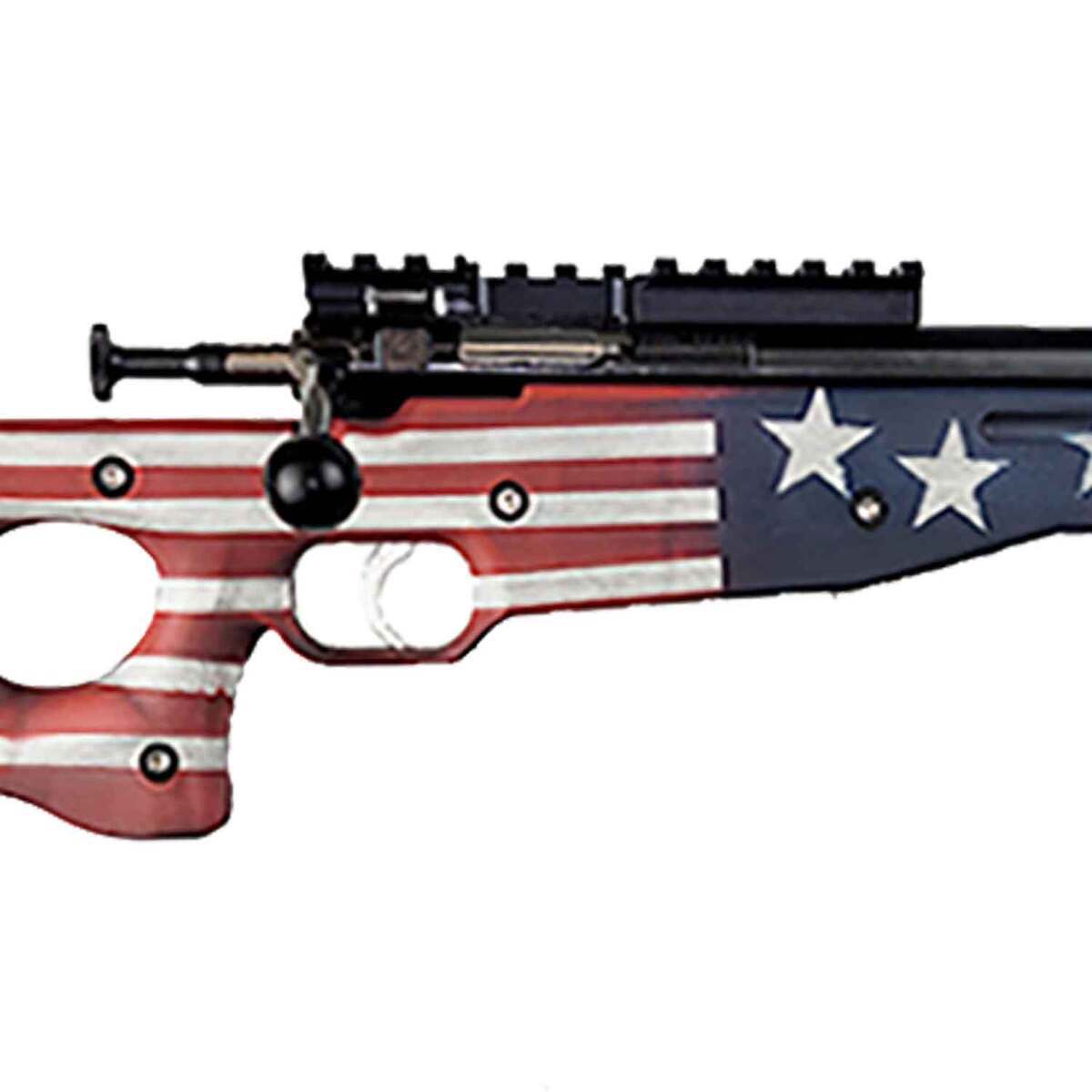 Keystone Sporting Arms Crickett Precision Compact Blued Bolt Action ...