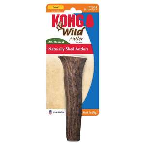KONG Whole Wild Elk Antler - Small