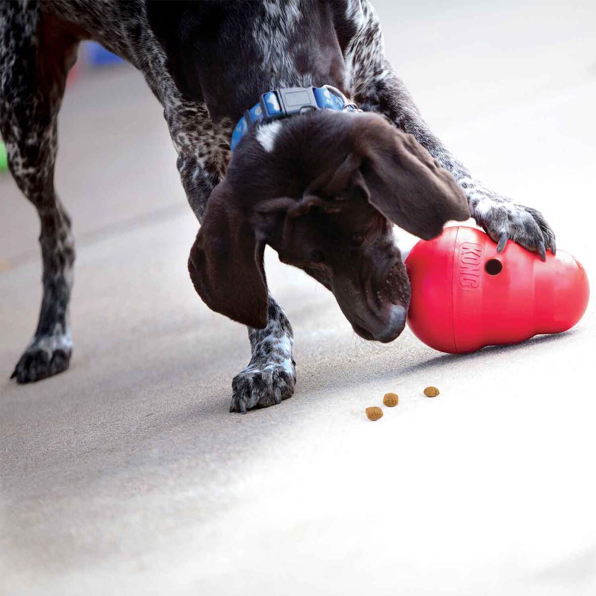 KONG Wobbler Food Dispenser - Red KONG Wobbler Food Dispenser - Red